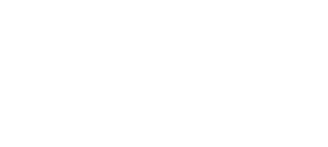 Партнёр Systemice — сеть отелей Cosmos